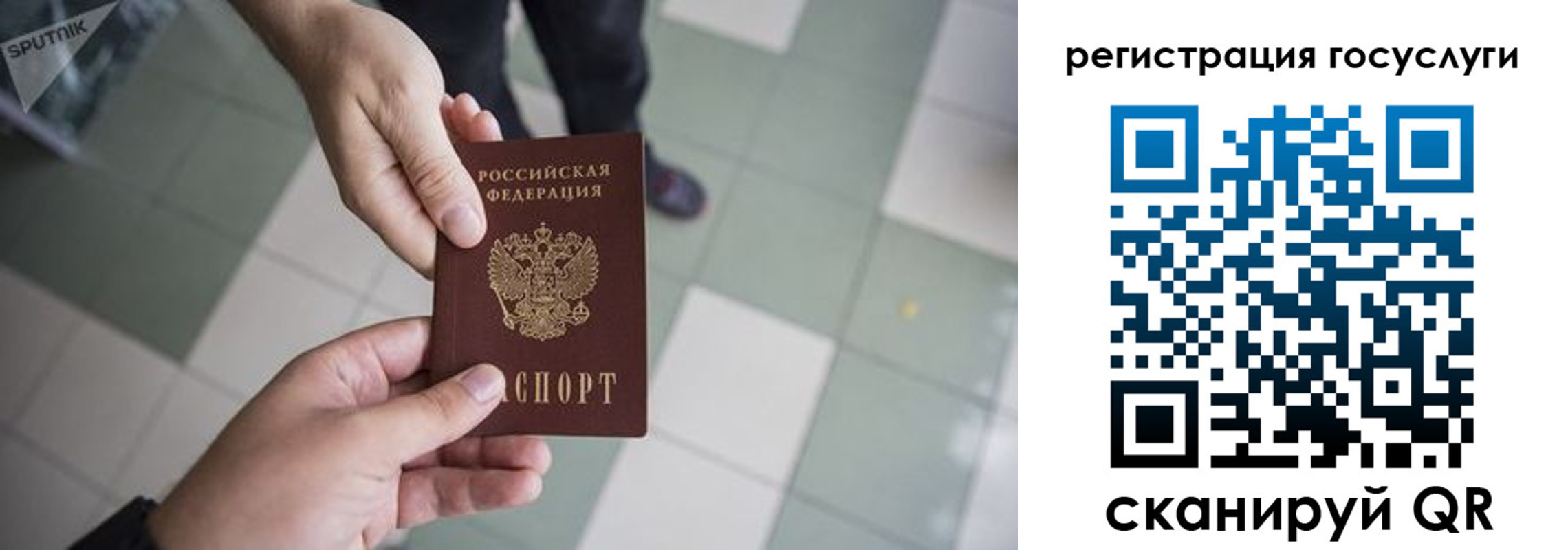 прописка для школы в Березниках